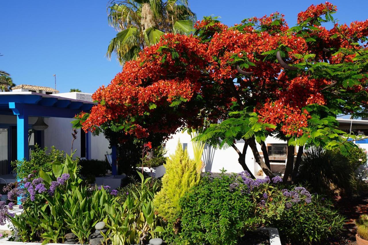 Timfay Villa Corralejo Exterior photo