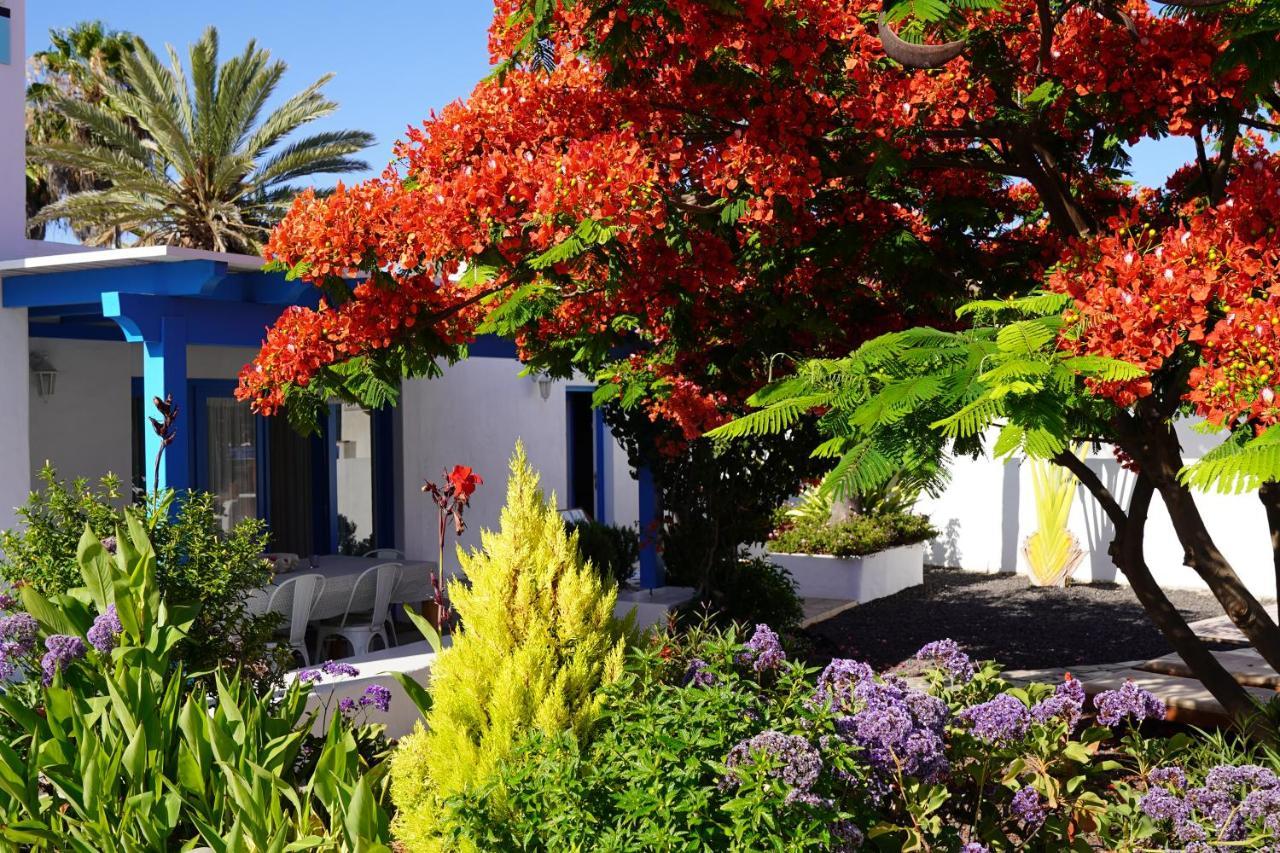 Timfay Villa Corralejo Exterior photo