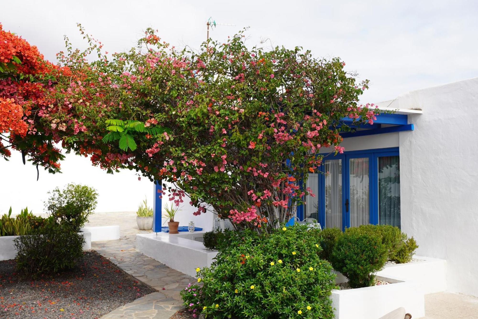 Timfay Villa Corralejo Exterior photo